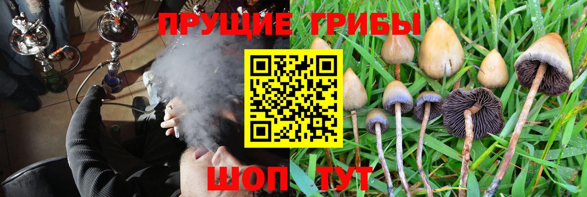 Псилоцибиновые грибы мухоморы Березники