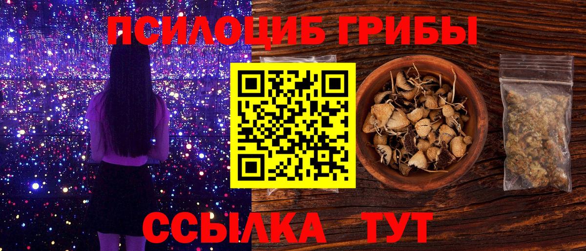 Березники  дарнет шоп  Вход с VPN  Галлюциногенные грибы GOLDEN TEACHER 